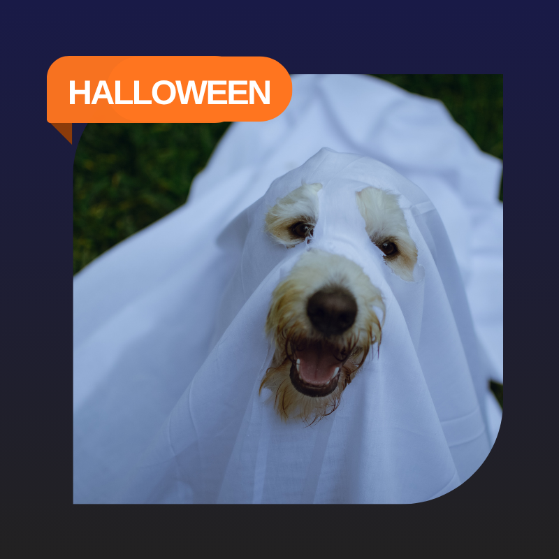 Halloween Collection