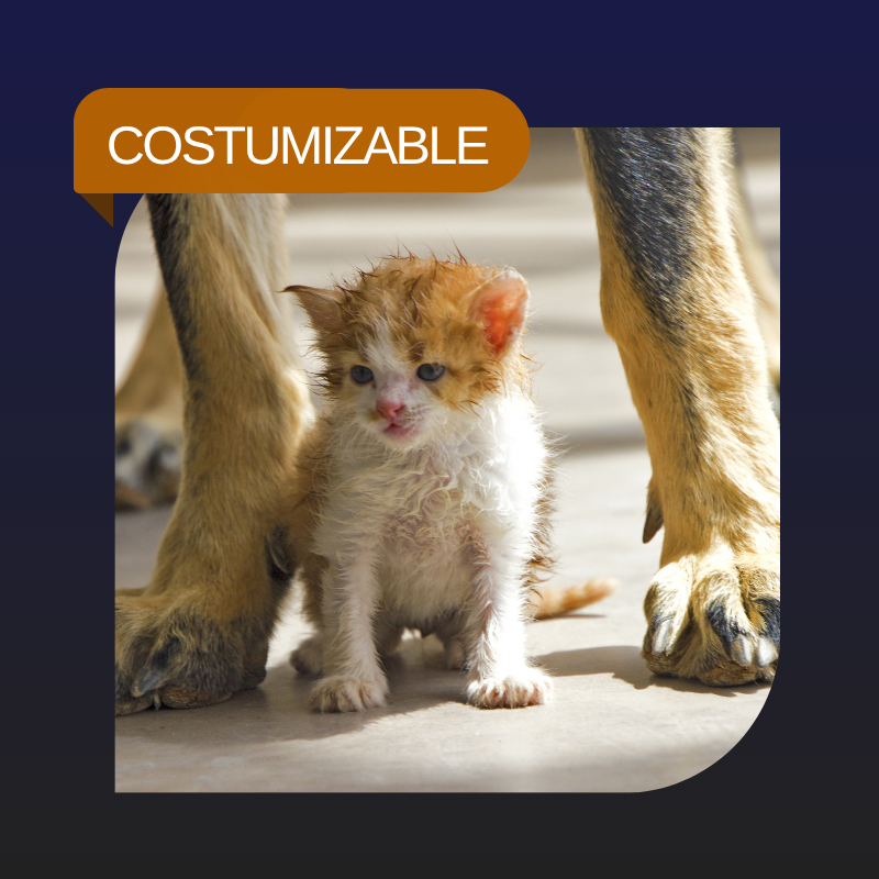 Costumizable