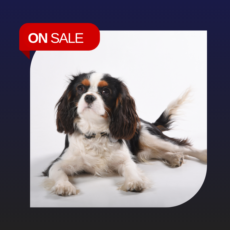 On Sale