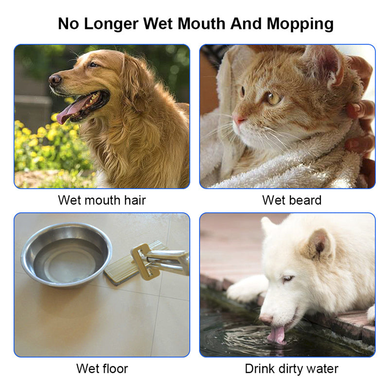 Drinking Water Bowl with Floating Design - Non-Wetting