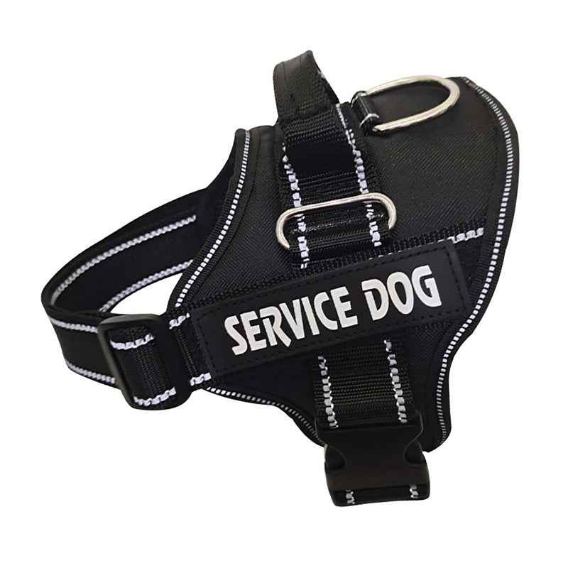Costumizable Guardian Harness