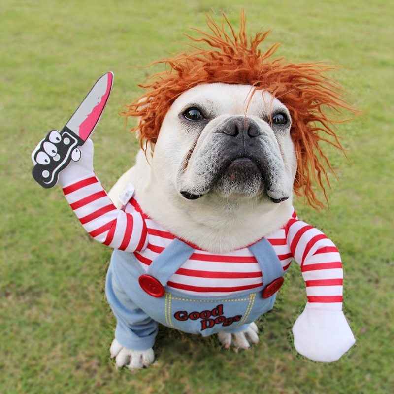 (Not So) Good Dog