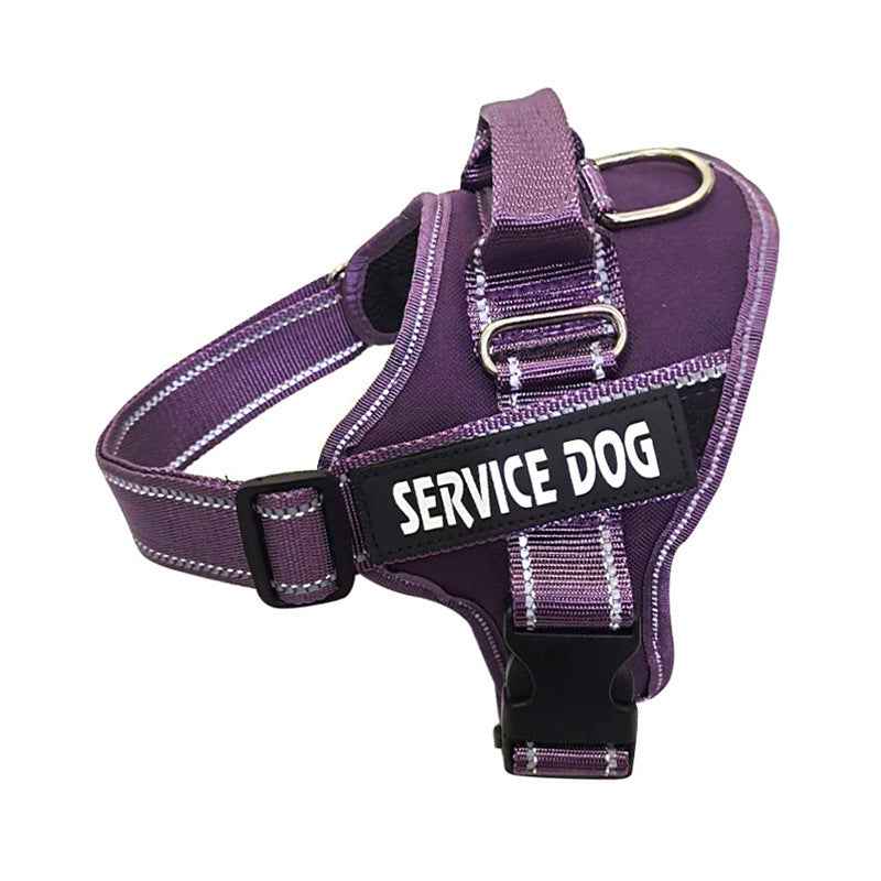 Costumizable Guardian Harness