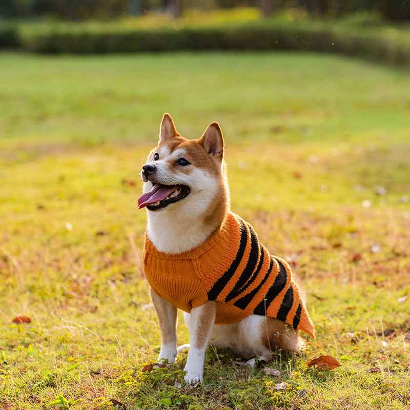 Halloween Warm Sweater