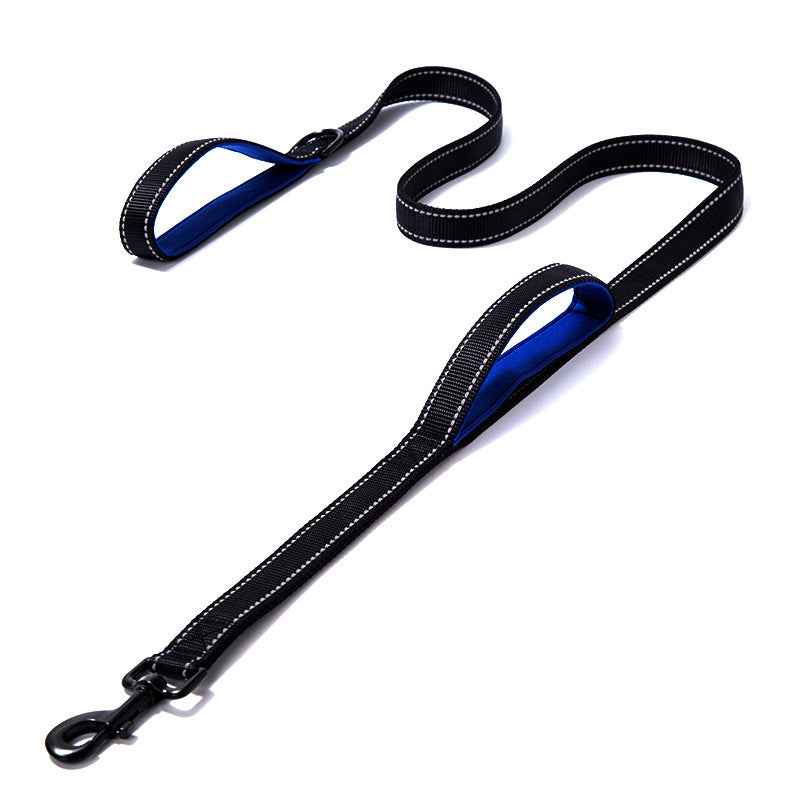 Guardian Leash