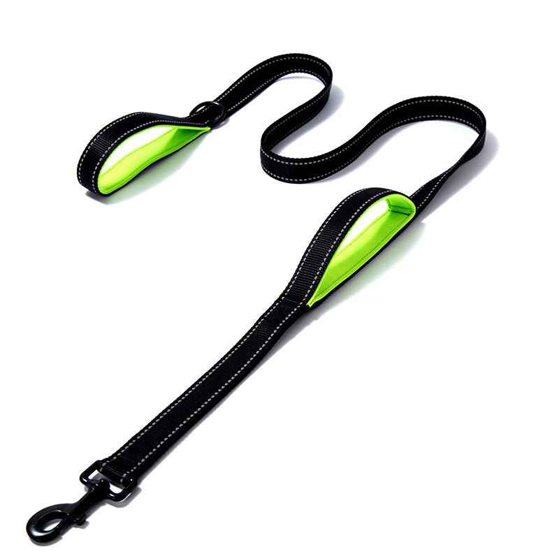 Guardian Leash