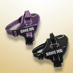 a black or purple costumised harness with your dog name like for example "service dog", confortable practical and easy to put/remove on/out your dog.