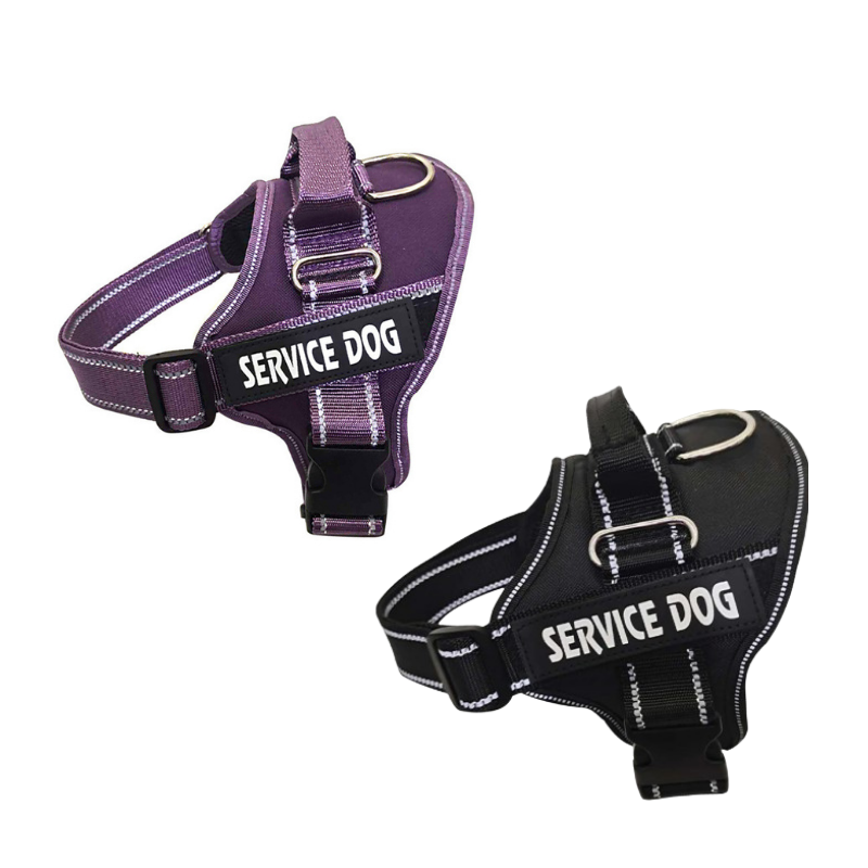 a black or purple costumised harness with your dog name like for example "service dog", confortable practical and easy to put/remove on/out your dog.