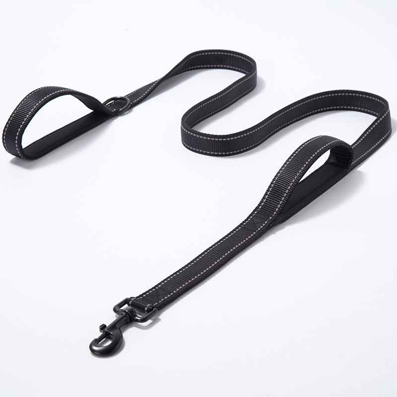Guardian Leash