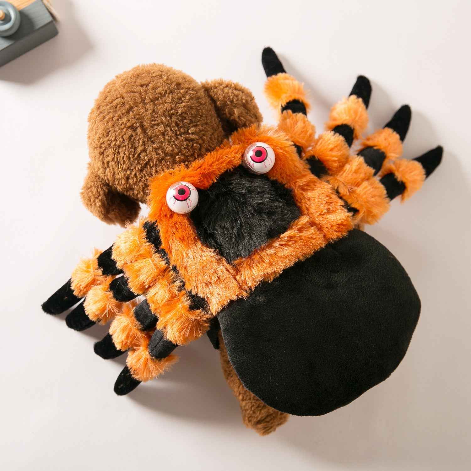 Spider
